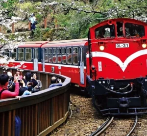 Alishan Forest Railway