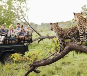 Kruger National Park