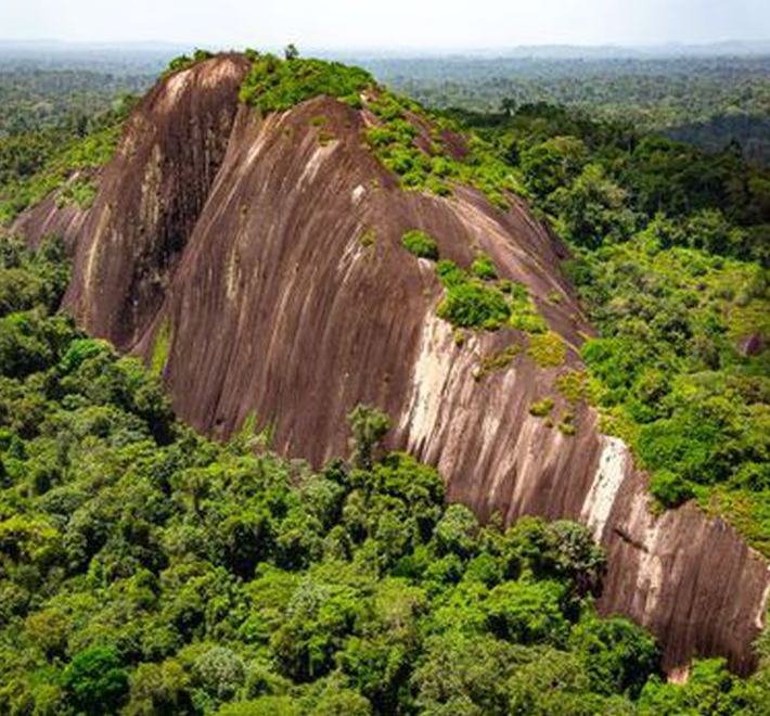 Central Suriname Nature Reserve