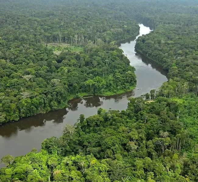 Galibi Nature Reserve