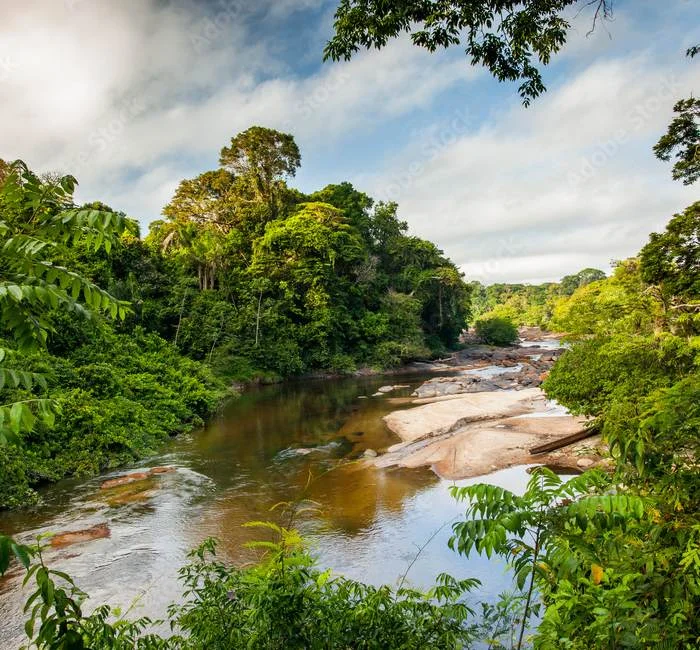 Upper Suriname River
