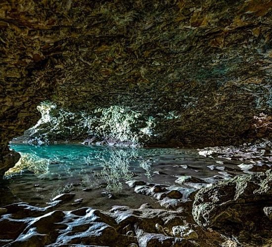 Animal Flower Cave
