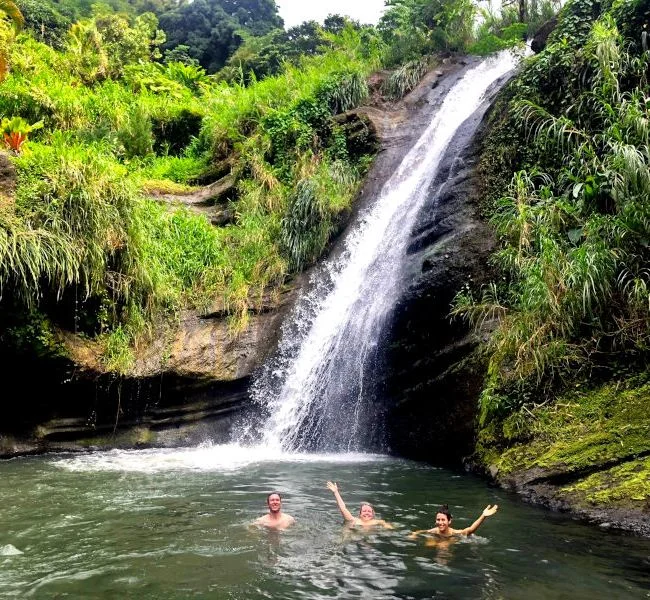 Concord Falls