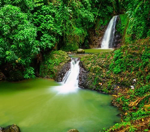 Grand Étang National Park