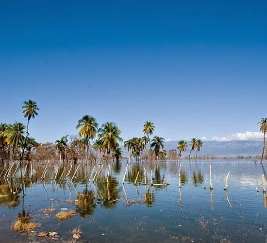 Lago Enriquillo