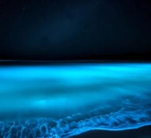 Luminous Lagoon
