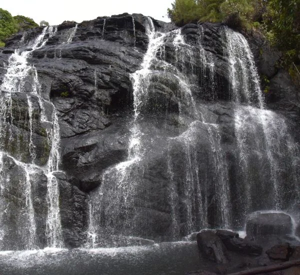 Milligan Falls