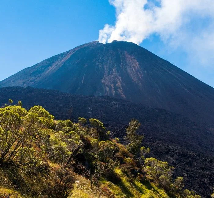 Pacaya Volcano