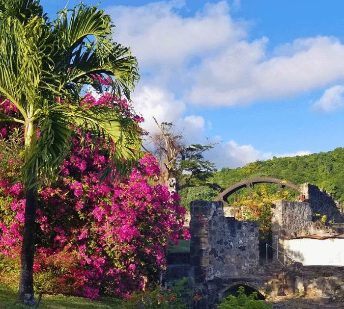 River Antoine Rum Distillery