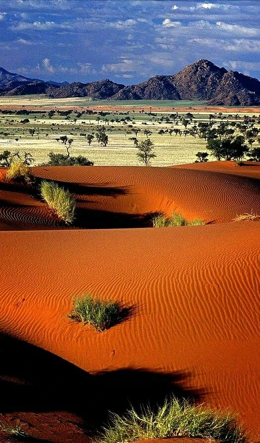 The Kalahari