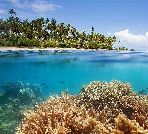 Vanua Levu