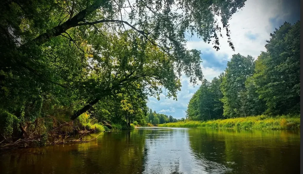 Belarus Beauty