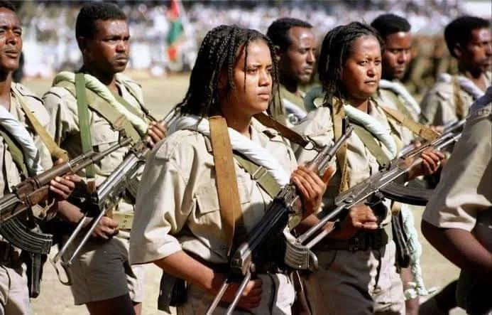 Eritrea’s The Big Freedom War