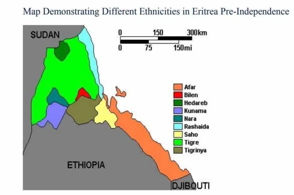 Tigrinya, Tigre, Saho, Afar, Kunama, Bilen, Hedareb, Nara, and Rashaida