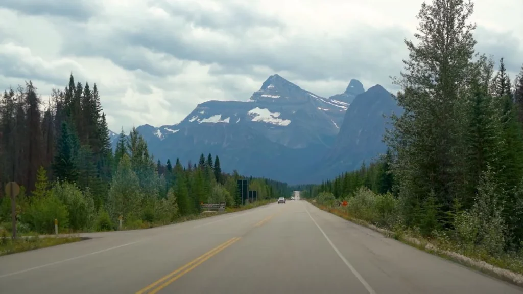 Road trip