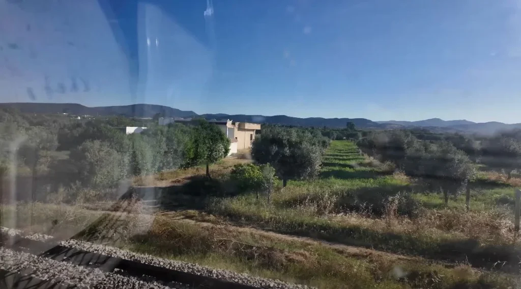 Rural countryside