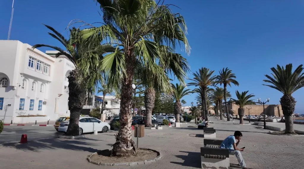 Tunisia The Impulsive Trip That Changed Everything