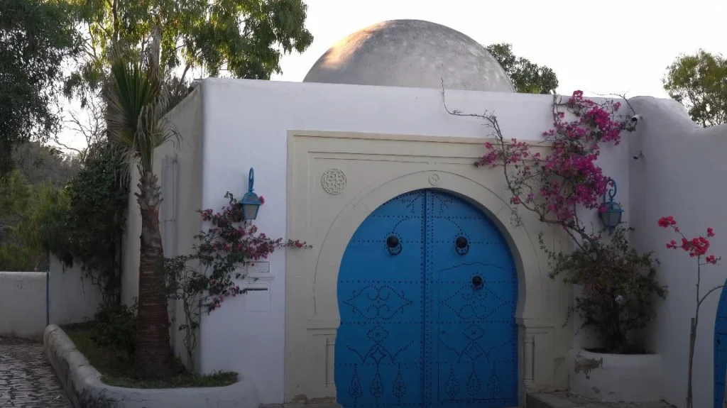 blue door with bougainvillea