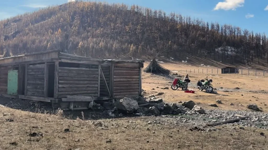 burned forest with bikes