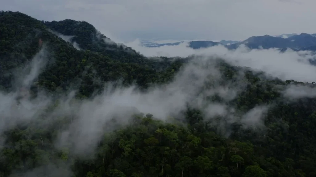 clouds filling mountain valleys