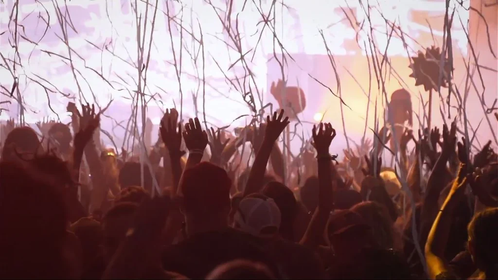 festival crowd at sunset