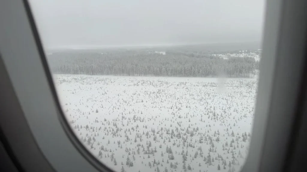 plane window view of snowy forests
