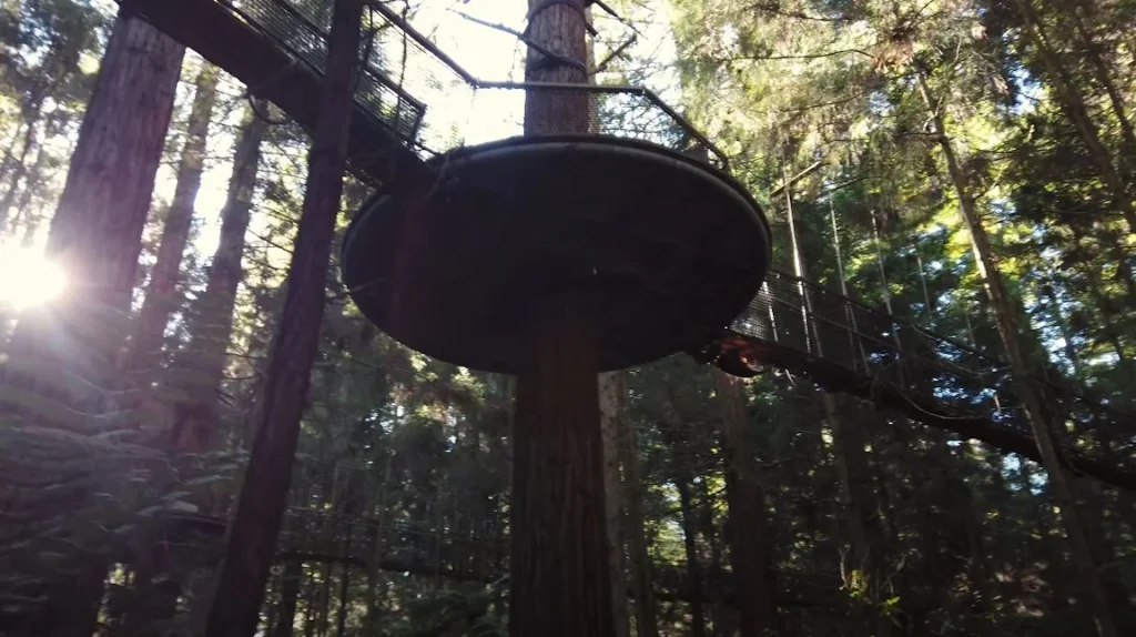 forest UFO structure