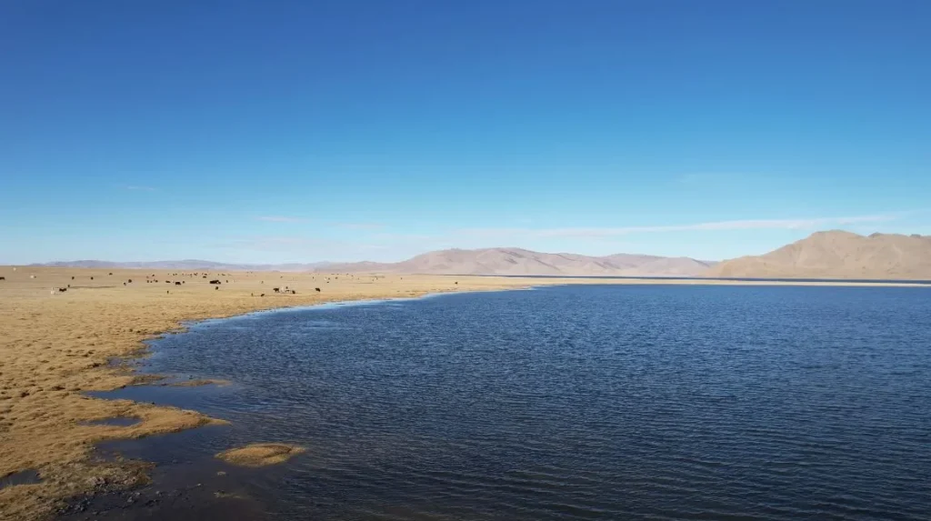 lake with mountains and possibly yaks