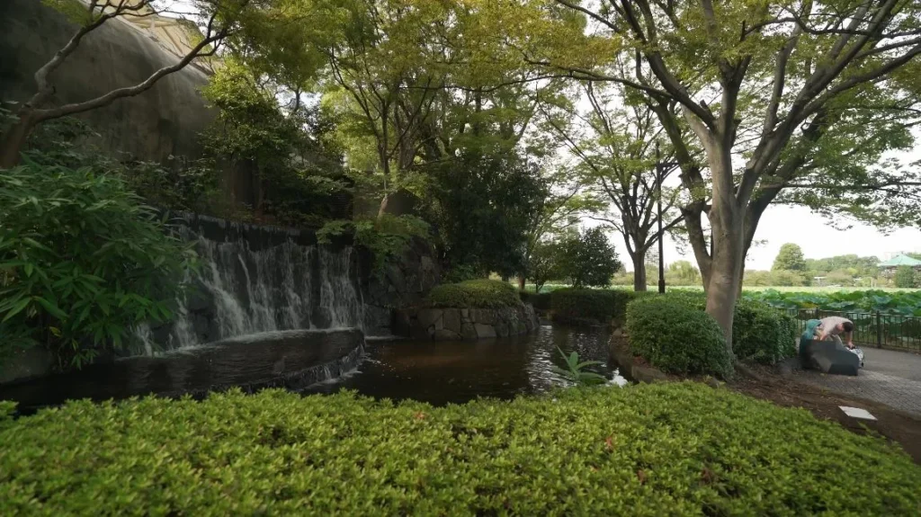 park waterfall feature