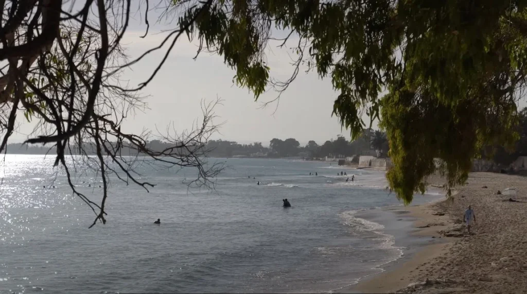 people in water