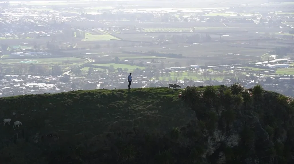 person and sheep with valley