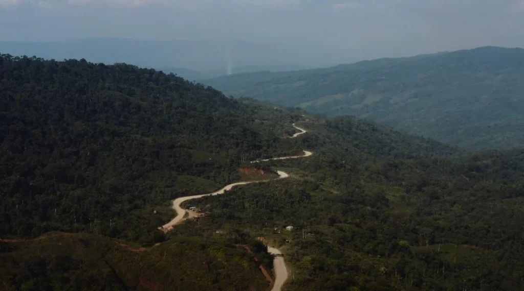 Jungle Highway Toward The Bolivian Border