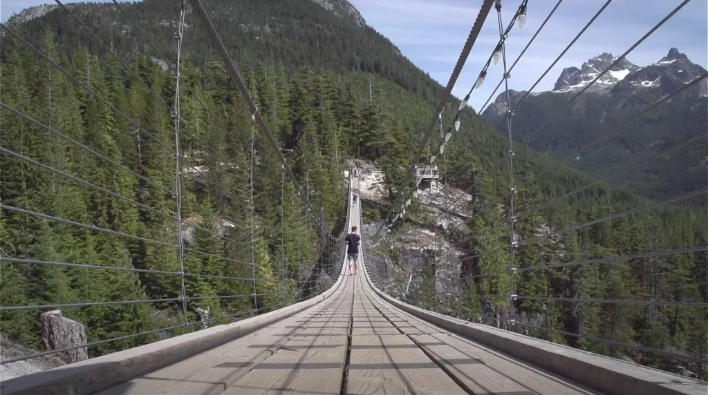 suspension bridge through forest