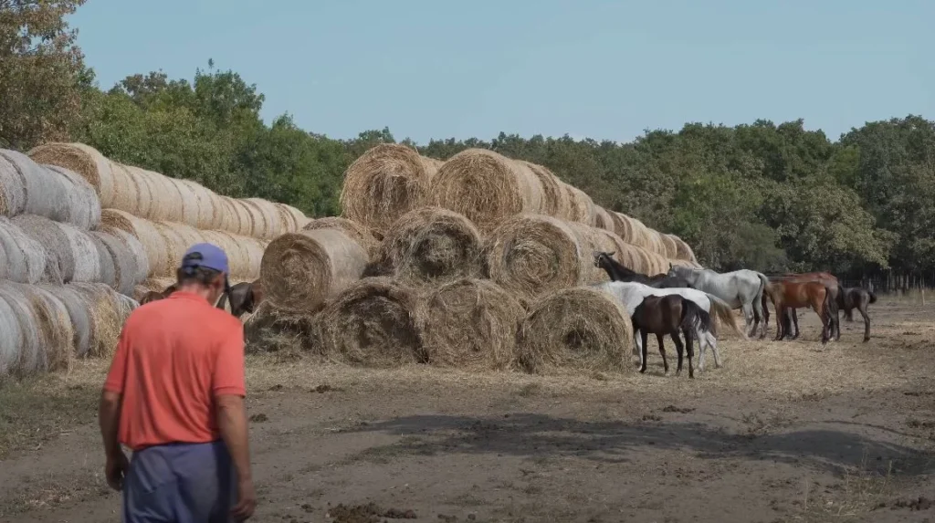 Farm life