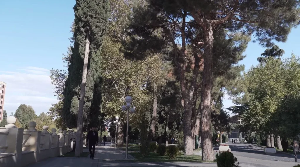 Park