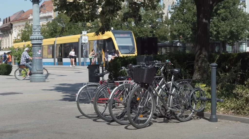 Transportaion