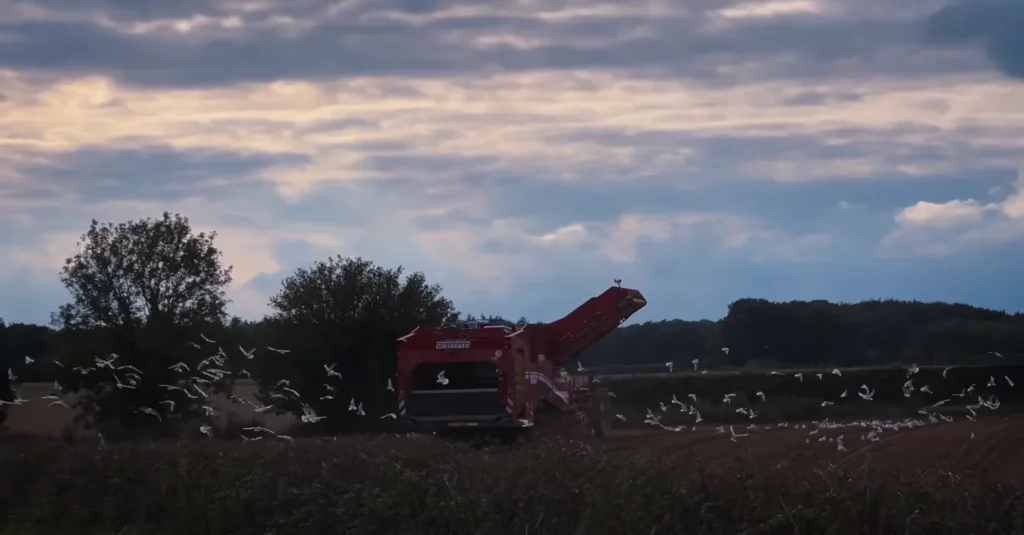 Norfolk Country side