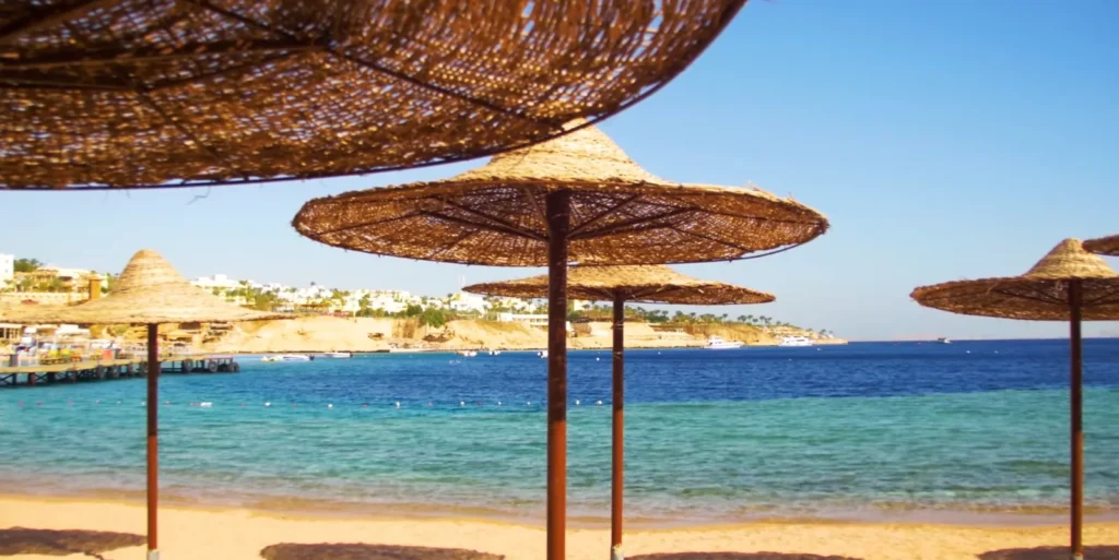 Red Sea beach with umbrellas