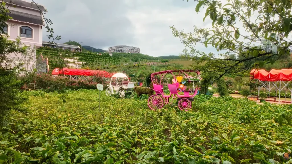 Fansipan Mountains 1