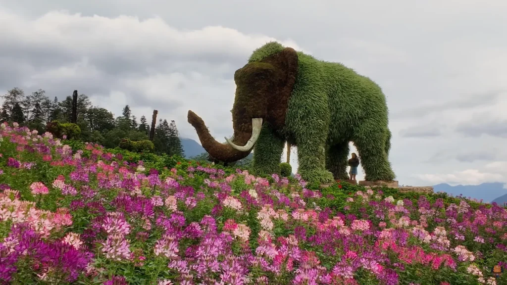 Fansipan Mountains 2