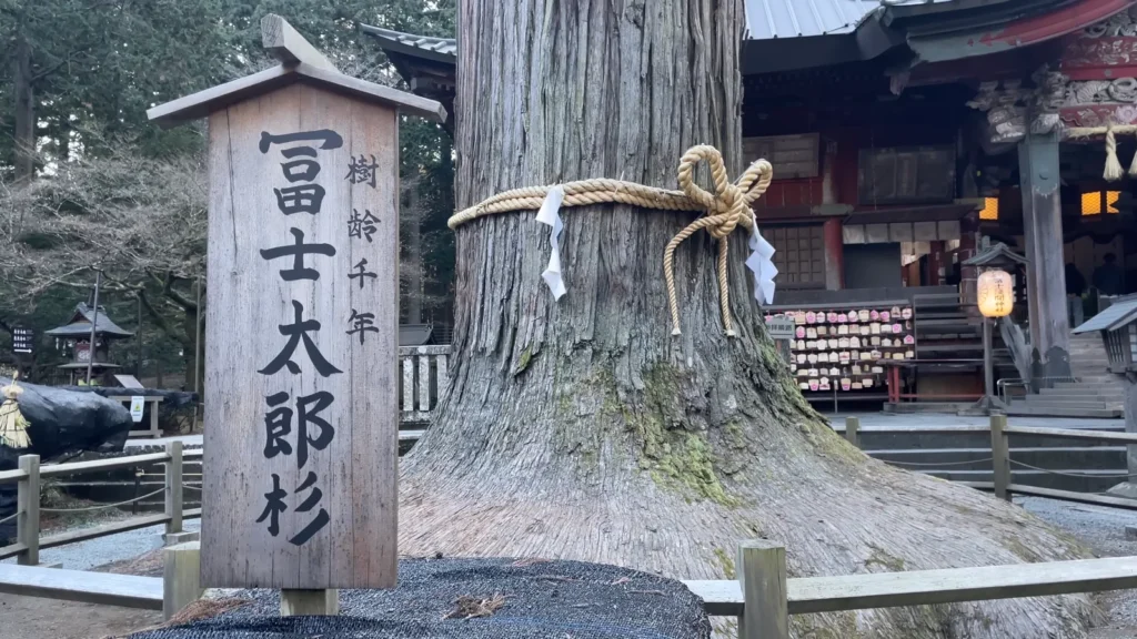 Kitaguchi Hongu Fuji Sengen Shrine (1)