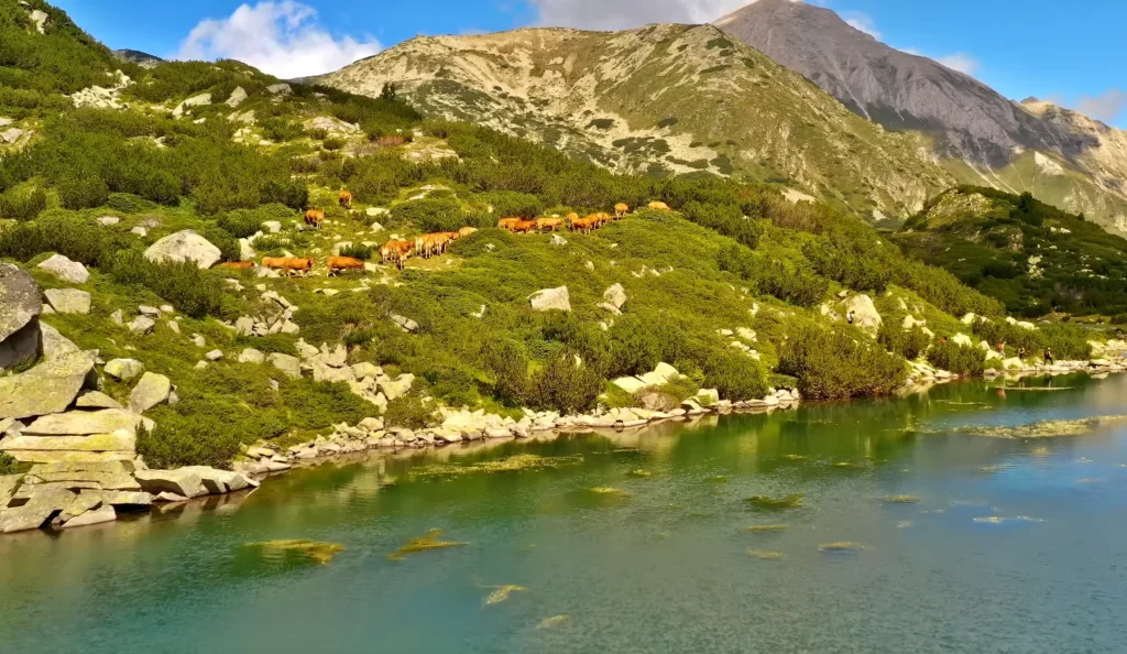 Pirin national park, Banderishki lake
