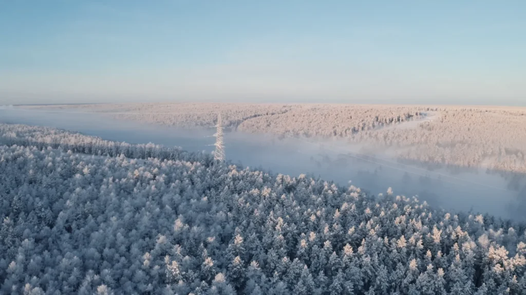 Yakutia-Siberia Forzin forest