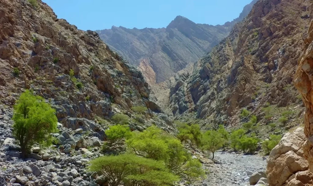 wadi al nakhal 1