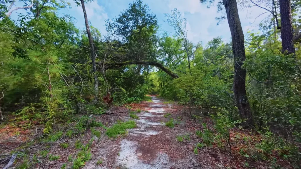 Big Shoals State Park 1