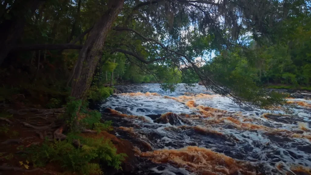 Big Shoals State Park