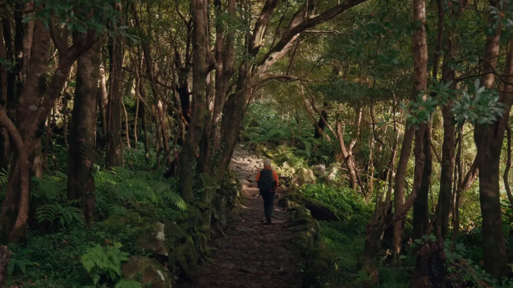 Cascata do Poço do Bacalhau hike