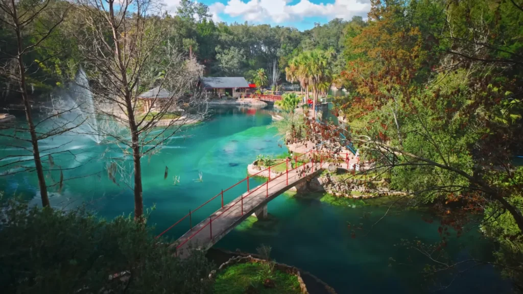 Cedar Lakes and Gardens 1