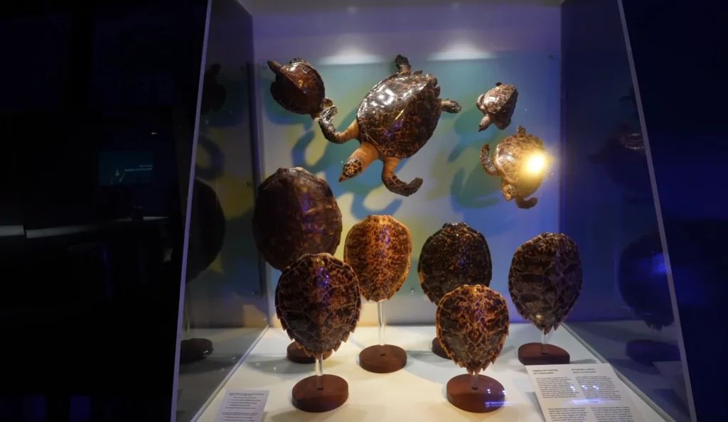 Design District Aquarium