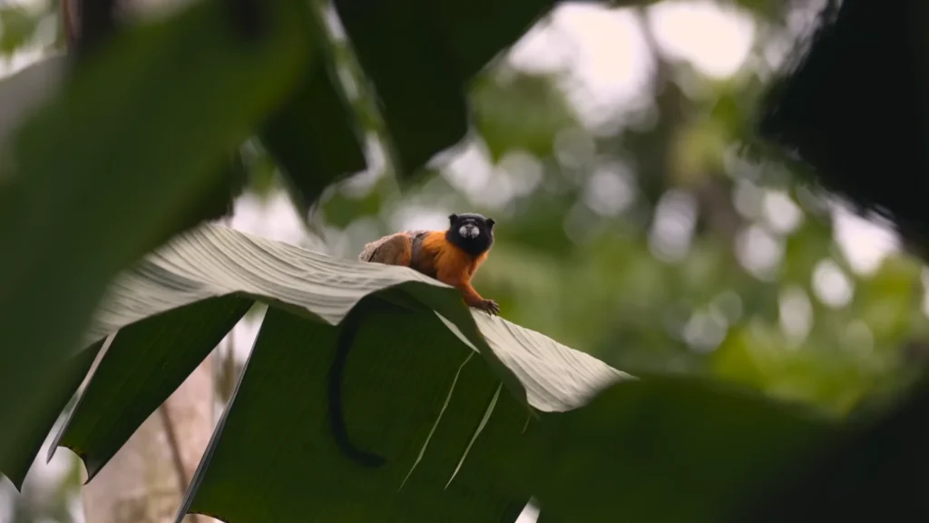 Ecuador's Amazon Beautiful, Exhausting, and Nothing Like I Expected